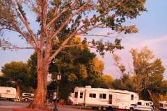 Fallon RV Park